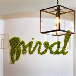 Clinique Dentaire Densival, Ensival openingstijden