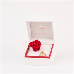 Rose d'Anvers, openingstijden