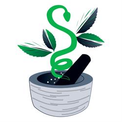Pharmacie Cannuyer - Enghien, openingstijden