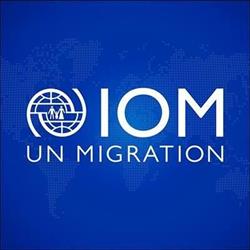 IOM Belgium and Luxembourg, Brussel openingstijden
