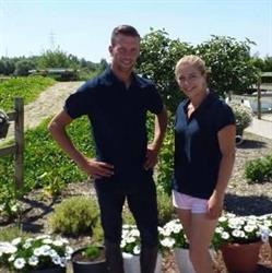 DW Stables - De Wit, Dendermonde openingstijden