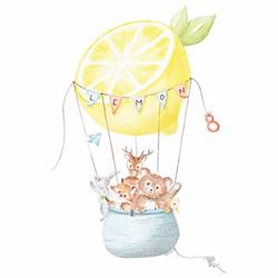 Lemon8store, Ganshoren openingstijden