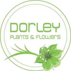 Dorley Plants & Flowers, Laarne openingstijden