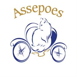 Assepoes - gedragsadvies en trimsalon voor katten, Nazareth openingstijden