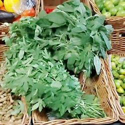 Ninove market, openingstijden