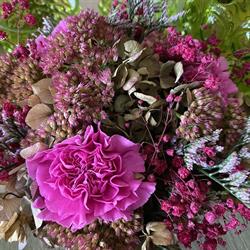Bloem en groendecoratie Anne-Marie Lievens, Vicky Marissens, Liedekerke openingstijden