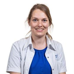 Gynaecoloog Dokter Sarah Van den Berghe, Landegem openingstijden