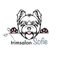 Trimsalon Sofie, Asse openingstijden