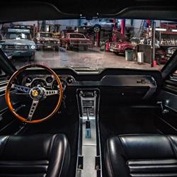 MUSTANG & CO, Edingen openingstijden