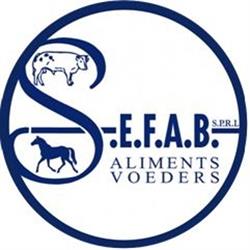 S.E.F.A.B., Meslin-l'Evèque openingstijden