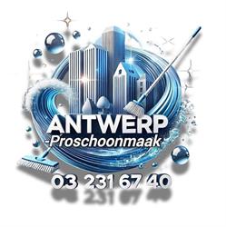 Antwerp-proschoonmaak Lier Lier - openingstijden