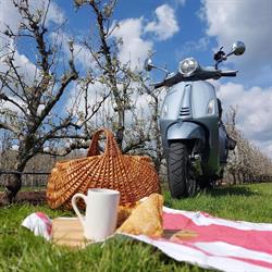 Vespa Limburg, Hasselt openingstijden