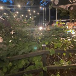 Brasserie De Hoge Boom, Kapellen openingstijden