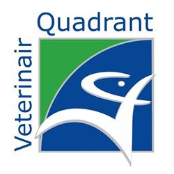 Dierenartsen Veterinair Quadrant, Herfelingen openingstijden