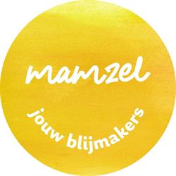 Mamzel Diest, openingstijden