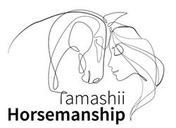 Tamashii Horsemanship, Aarschot openingstijden