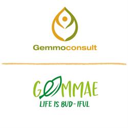 Gemmoconsult, Zottegem openingstijden
