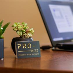 Pro-Bizz, Geel openingstijden