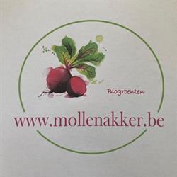 Mollenakker, Adegem openingstijden
