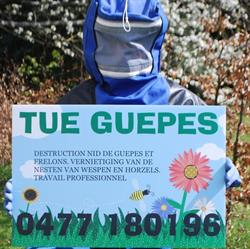 Tue guêpes, Terhulpen openingstijden