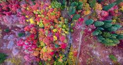 Au Paradis Vert, Chaumont-Gistoux openingstijden