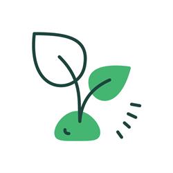 Alvade boomwerken en tuinonderhoud, Brecht openingstijden