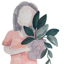 Petites Plantes, Beveren openingstijden