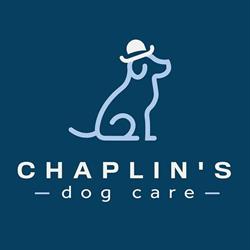 Chaplin's Dog Care, Ingelmunster openingstijden