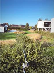 De Zuidgroen BV, Montaigu-Zichem openingstijden