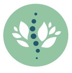 Chiropraxie Drongen, openingstijden