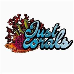Just Corals, Nijlen openingstijden