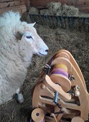 Le Mouton Magique, Aywaille openingstijden