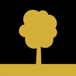 The Old Beech, Antwerpen openingstijden