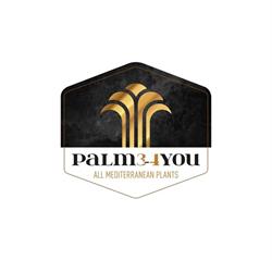 Palm3-4you, Reninge openingstijden