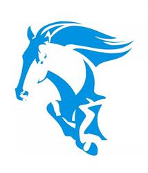 Carwash Mustang 2.0 Berlare, openingstijden