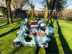 Vitesse Vespa-verhuur Wingene, openingstijden