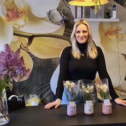't Stengeltje, Nossegem openingstijden