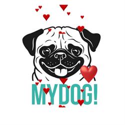 MyDogTervuren, openingstijden