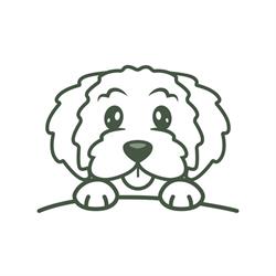 Marley's Doodle Shop, Kapellen openingstijden