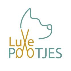 Luxe Pootjes, Ronse openingstijden