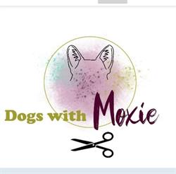 Dogs with Moxie, Aalst openingstijden