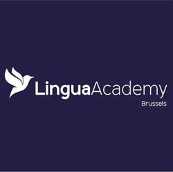 Lingua Academy Brussels, openingstijden