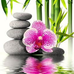 Orchid Thai Therapy, Mechelen openingstijden