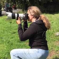 Colette Marien fotografie, Lokeren openingstijden
