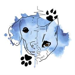 For the love of paws, Tienen openingstijden
