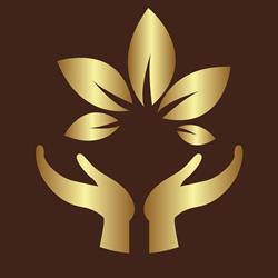 Daydream Massage, Stekene openingstijden