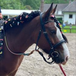 RC Ter Vennen, Schilde openingstijden