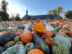 Pumpkimania, Groot-Bijgaarden openingstijden