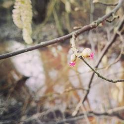 IN2NATURE, Hombeek openingstijden