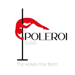 Studio Poleroi, Montignies-sur-Sambre openingstijden